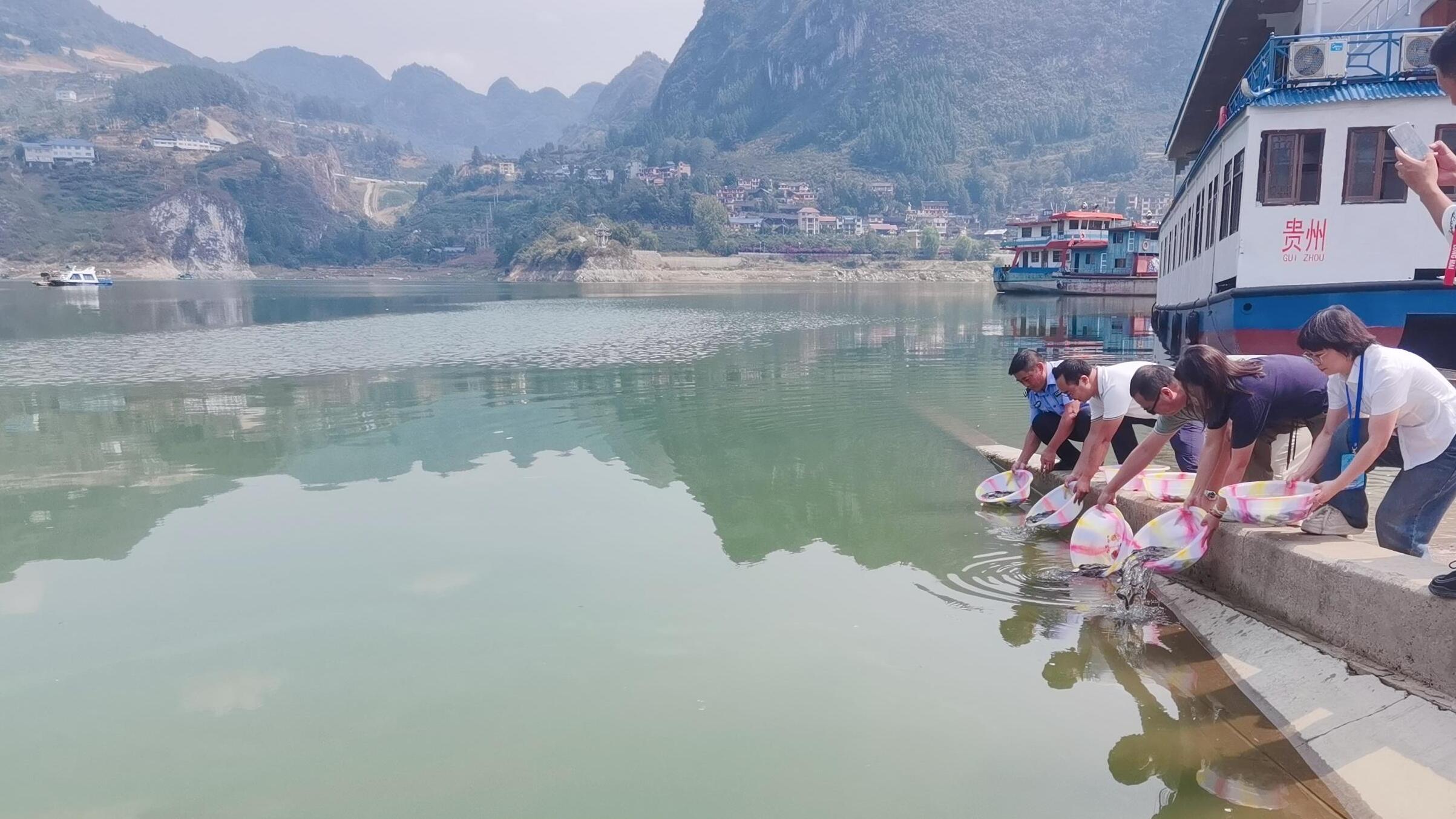 kaiyun：开阳县开展2024年渔业增殖放流活动(图2)